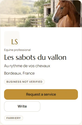A demo professional profile with a photo, introduction and farriery service.