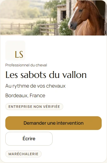 Une fiche professionnelle de démonstration : photo, présentation et prestation de maréchalerie.