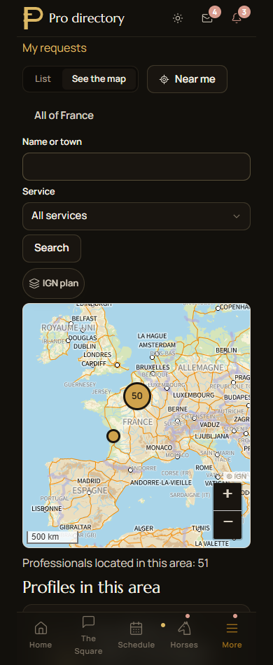 The professionals map and selected listing in Paddoco.